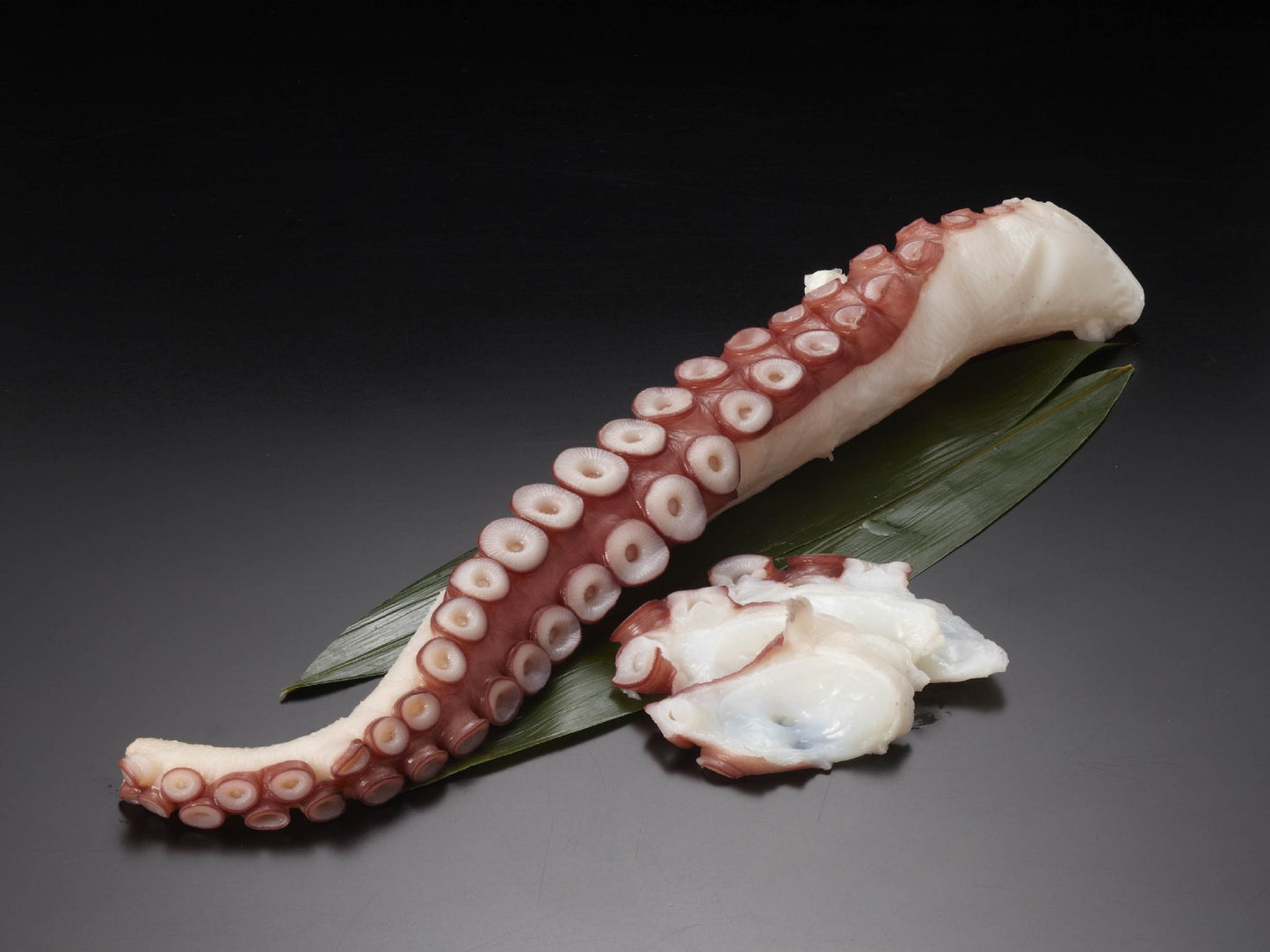 ヤナギタコ足ロイン1kg3~5本