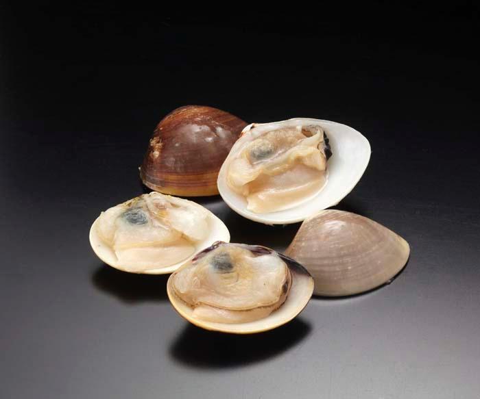 片貝蛤21/25[250g×4