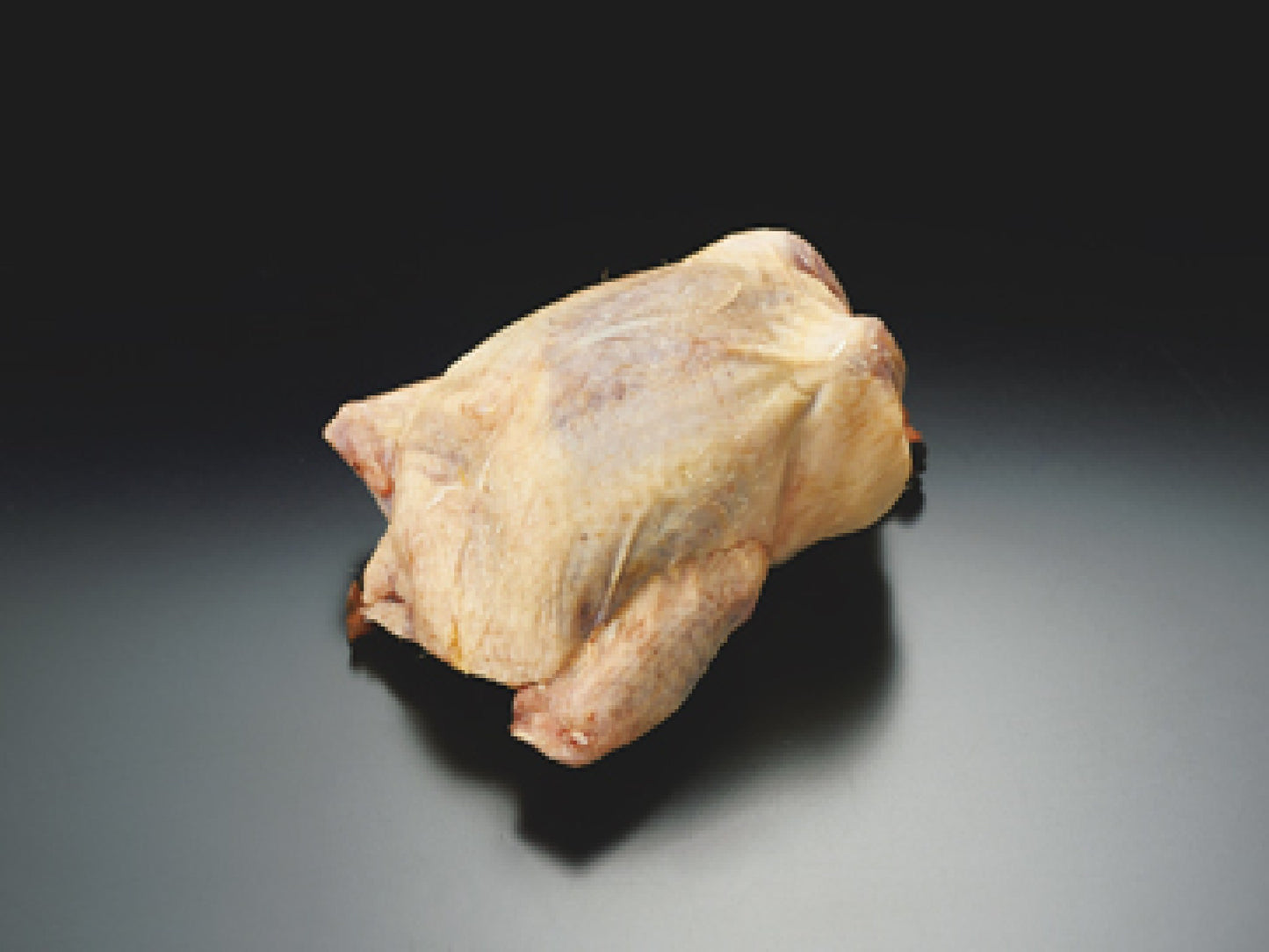 ピジョン丸約350g/羽
