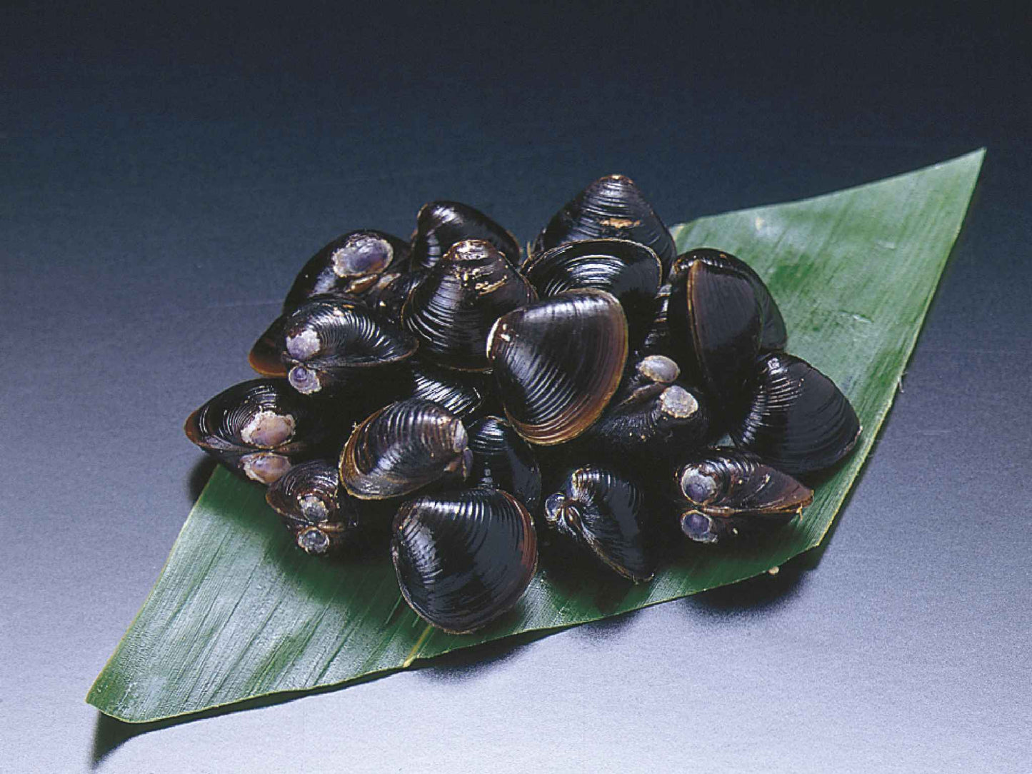 宍道湖産]冷凍しじみ[1kg]