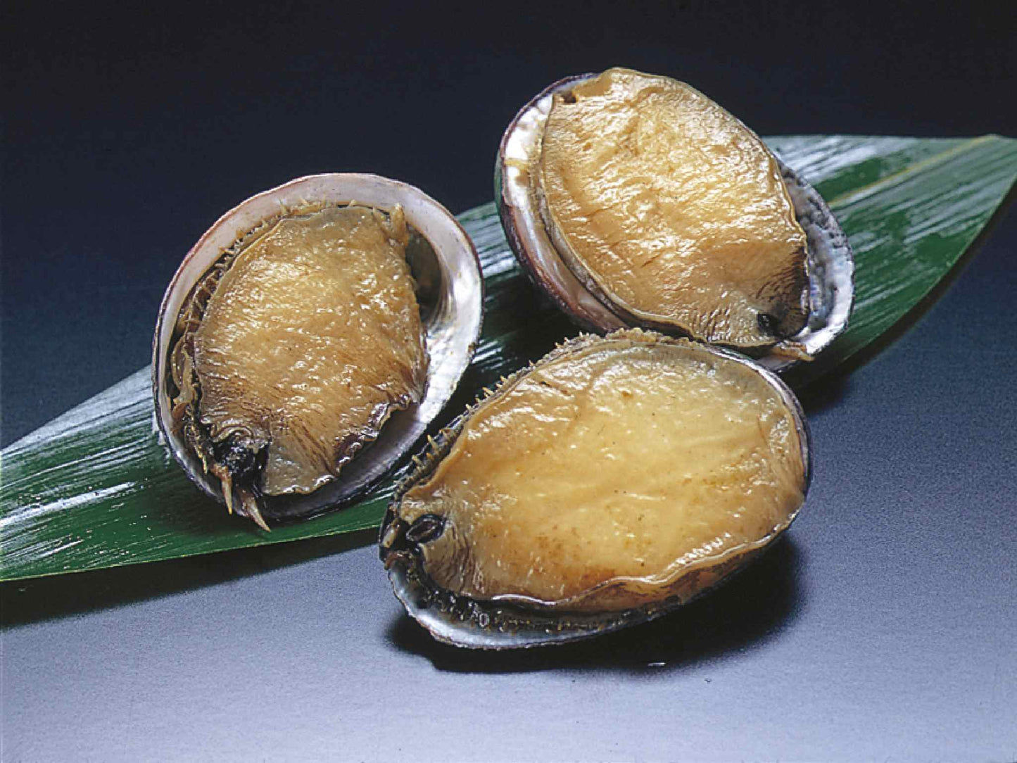 とこぶし味付[大]30粒入